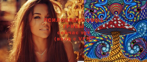 тгк Абаза