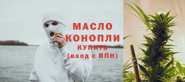 тгк Абаза