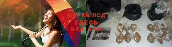 тгк Абаза