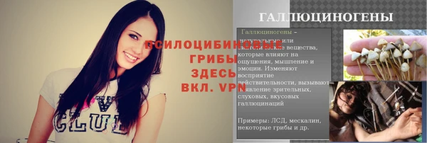 стаф Абинск