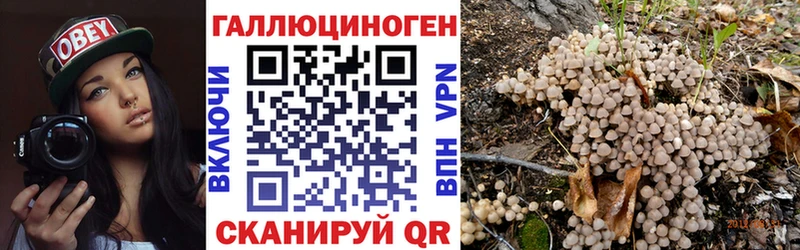 Галлюциногенные грибы GOLDEN TEACHER Донецк