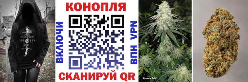 продажа наркотиков  Донецк  Марихуана SATIVA & INDICA 